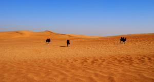 Dunhuang Gobi Desert 