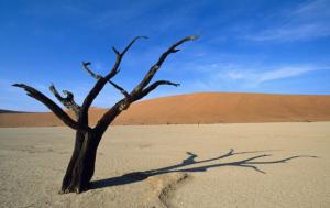 Gobi Desert Scenery
