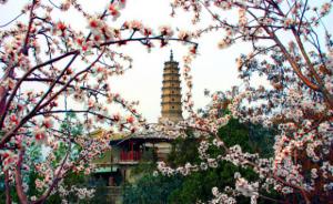 White Pagoda Hill Silk Road