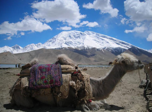 12-day Ancient Silk Road Route Trip