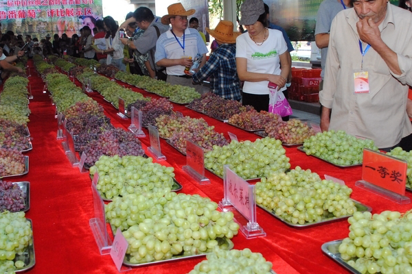 Turpan Grape Varieties, Turpan Grape Festival, Xinjiang Grapes