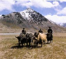 Tajik Ethnic Group