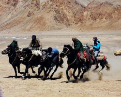 The Tajiks Riding