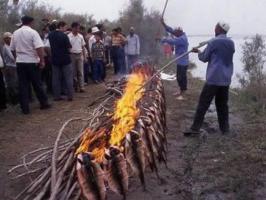 Xinjiang People Grilling Fish 