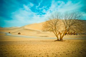 Echoing Sand Mountain Scenery
