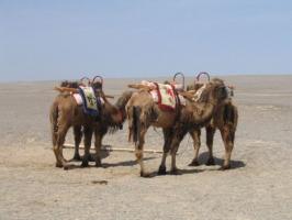 Yardang China