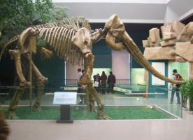 Gansu Provincial Museum Lanzhou