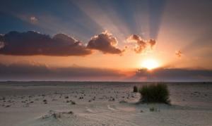 Gobi Desert