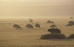 China Gobi Desert