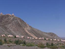 Overhanging Great Wall Silk Road