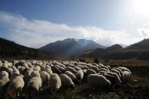 China Qilian Mountains