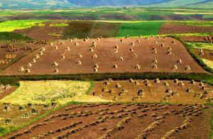 Qilian Mountains Scenery