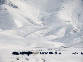 Qiyi Plateau Glacier