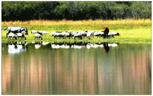 Sangke Grassland