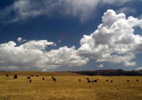 Sangke Grassland