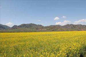 Sangke Grassland