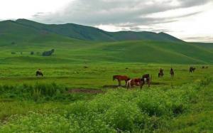 Sangke Grassland