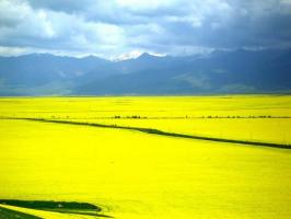 Sangke Grassland