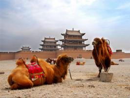 Wei Jin Art Gallery Gansu