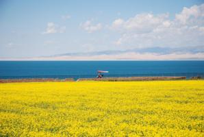 Qinghai Lake Scenery