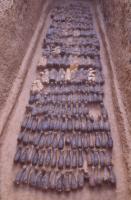 Hanyangling Mausoleum Scence