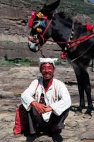 Shaanxi Locals