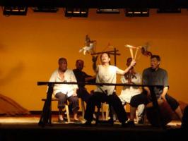 Xian Shaanxi Shadow Play Show