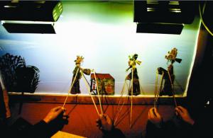 Shaanxi Shadow Playing