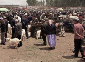 Sunday Bazaar Xinjiang