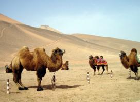 Transportation in Turpan