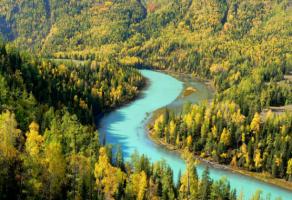 Altay Kanas Lake View