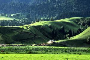 Bayanbulak Grassland Korla Attraction