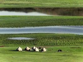 Bayanbulak Swan Lake Korla Scence
