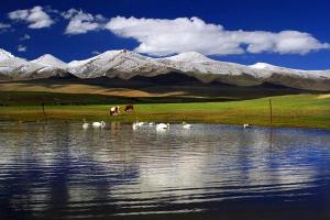 Beautiful Bayanbulak Swan Lake Korla