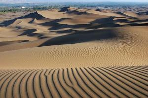 Xinjiang Tarim Diversifolious Poplar Forest Park