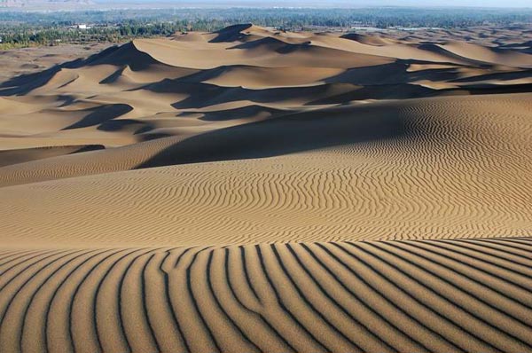 Xinjiang Tarim Diversifolious Poplar Forest Park
