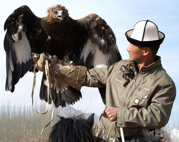 The Khalkhas Train Eagle