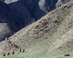 The Khalkha Ethnic Group