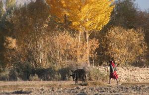 Xinjiang The Pamirs 