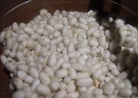 Hangzhou Silkworm Cocoon
