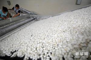 Huzhou Silk Chinese Silk Art