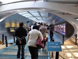 Maritime Silk Road Museum Visitors