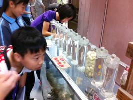 Nanguo Sidu Silk Museum Trip